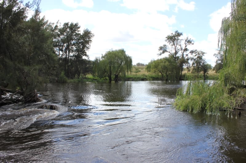 Click to view all images 'Fernlee' 557 Pindari Dam Rd Ashford NSW 2361 - Image 3