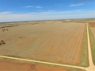 Click to view all images Old Charlton-Boort Road Wychitella North VIC 3525 - Image 1