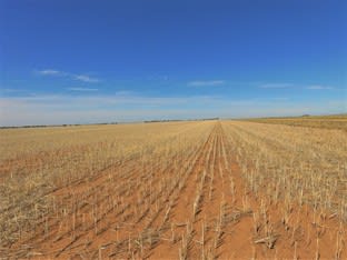 Click to view all images Old Charlton-Boort Road Wychitella North VIC 3525 - Image 2