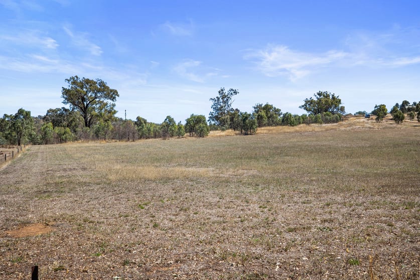 Lot 20 Axedale Goornong Road Axedale VIC 3551 - Image 2