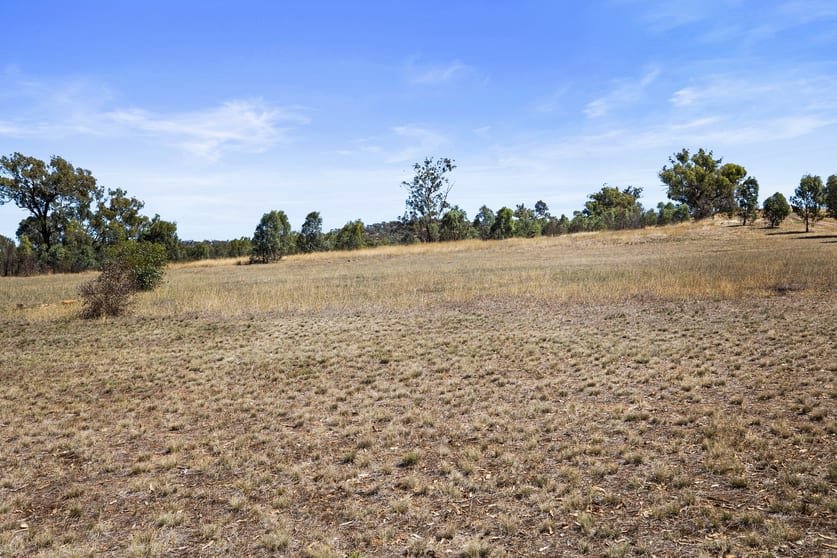 Lot 20 Axedale Goornong Road Axedale VIC 3551 - Image 3