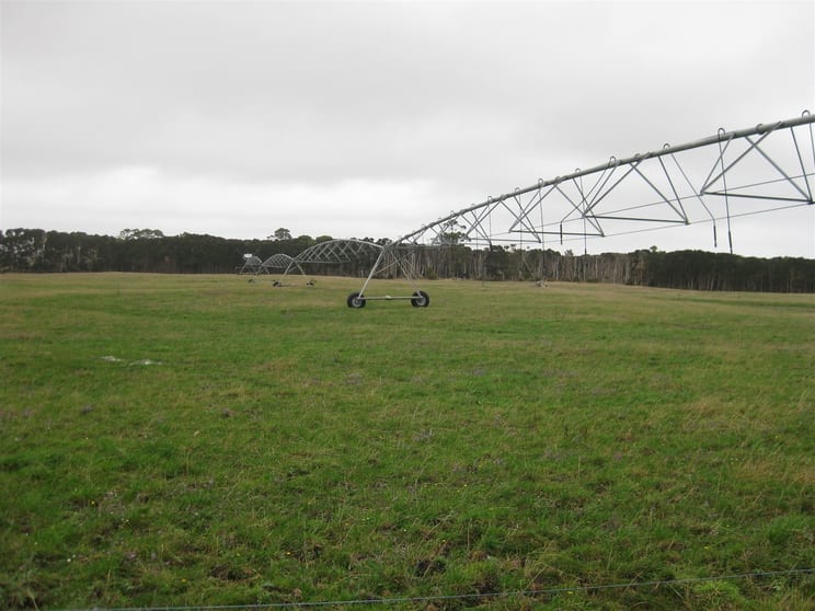 296 Marshalls Road Nugara TAS 7256 - Image 2