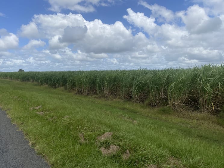 Click to view all images 249 Hills Road Welcome Creek QLD 4670 - Image 1