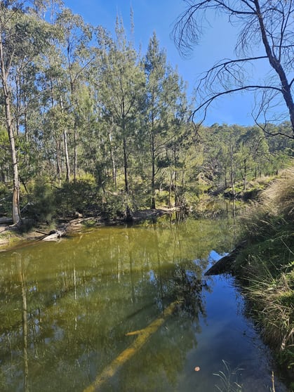 Click to view all images 2358 & 326 Port Macquarie Road Rylstone NSW 2849 - Image 2