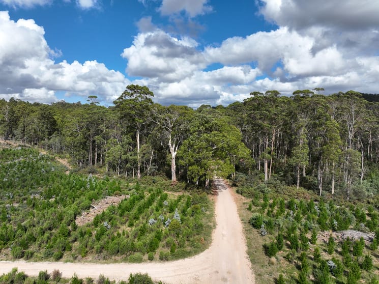 Click to view all images Part of 190 Porters Bridge Road Exton TAS 7303 - Image 2