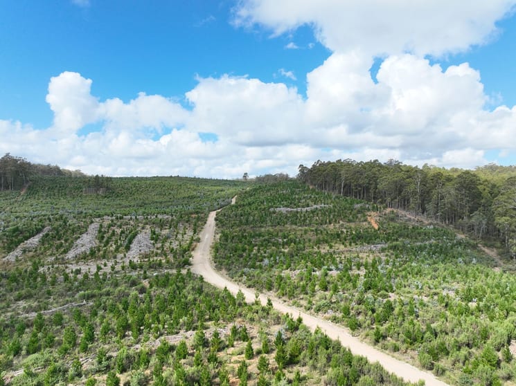 Click to view all images Lot 12 &13 Porters Bridge Road Exton TAS 7303 - Image 2