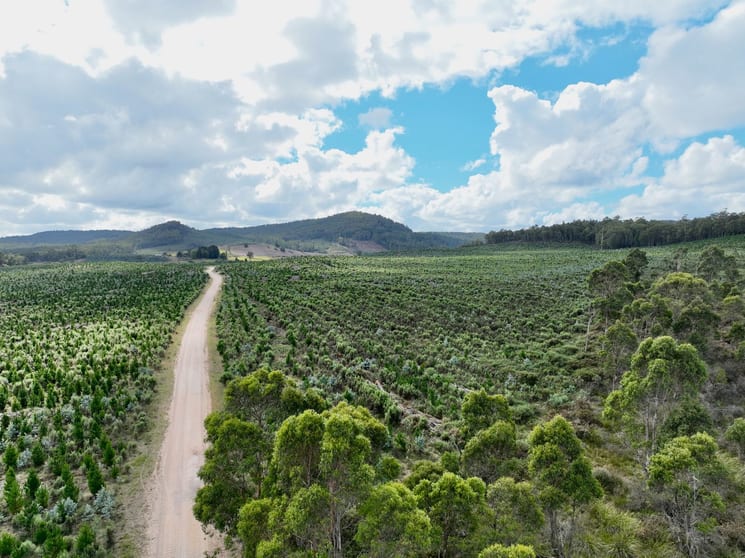 Click to view all images Lot 12 &13 Porters Bridge Road Exton TAS 7303 - Image 3