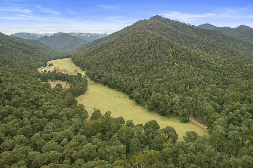 Click to view all images CA 1A Buckland River Road Selwyn VIC 3737 - Image 1