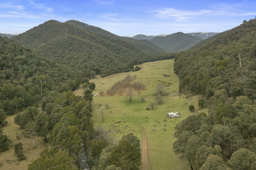 Click to view all images CA 1A Buckland River Road Selwyn VIC 3737 - Image 3