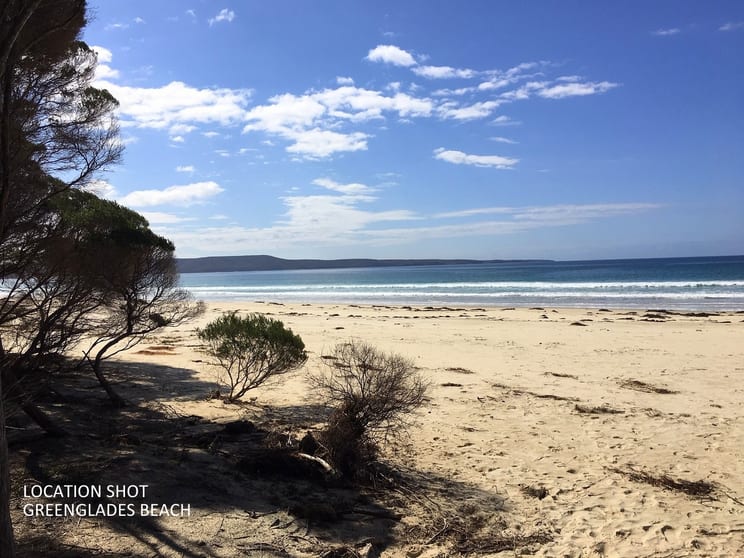 Click to view all images Lot 262 Adelaide Avenue Wonboyn Via Eden NSW 2551 - Image 2