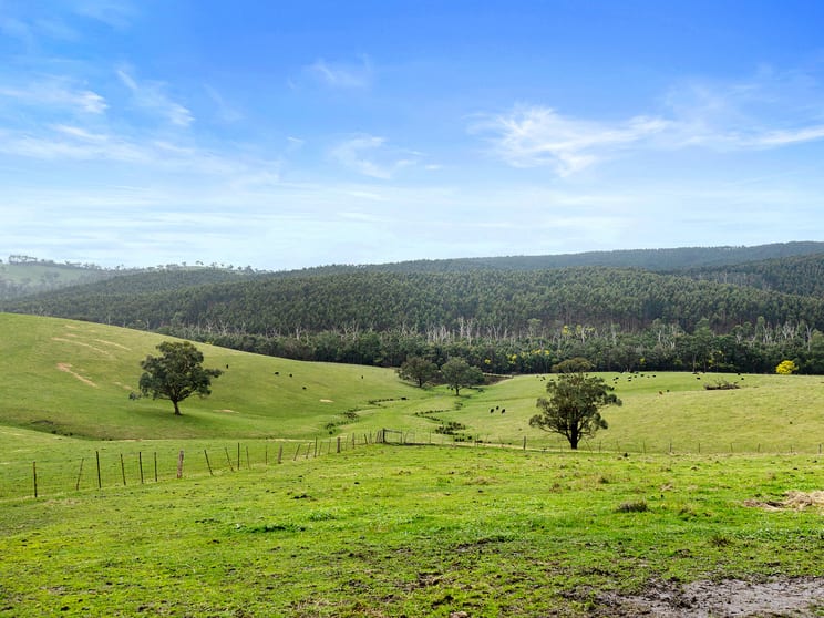 2 TP875722P, 225 North Mountain Road Heathcote Junction VIC 3758 - Image 1
