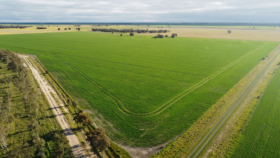 Single Tree Road Massey VIC 3482 - Image 2