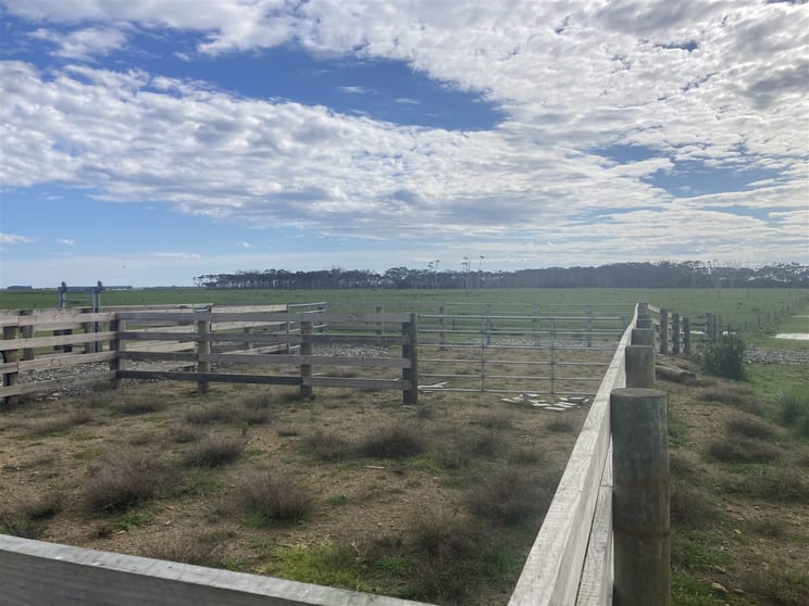 Click to view all images . Youngs Road Yambacoona TAS 7256 - Image 2