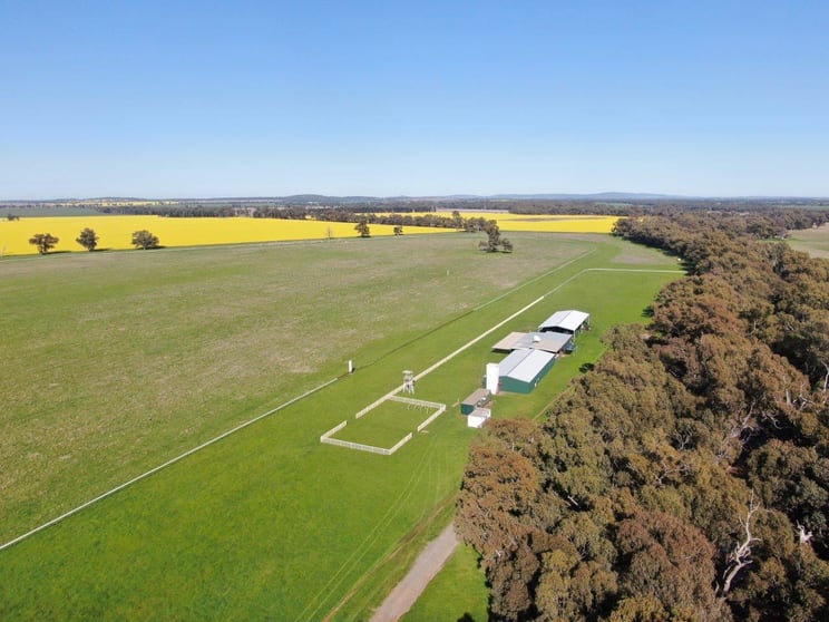 'Warri', 6611 Newell Highway Ardlethan NSW 2665 - Image 1