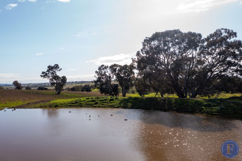 Click to view all images Lot 3 Milo Roads Murringo NSW 2586 - Image 2