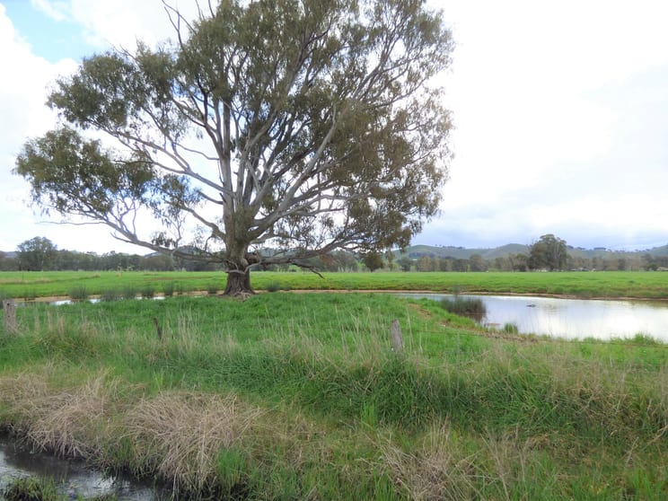 714 Whorouly Road Whorouly VIC 3735 - Image 2