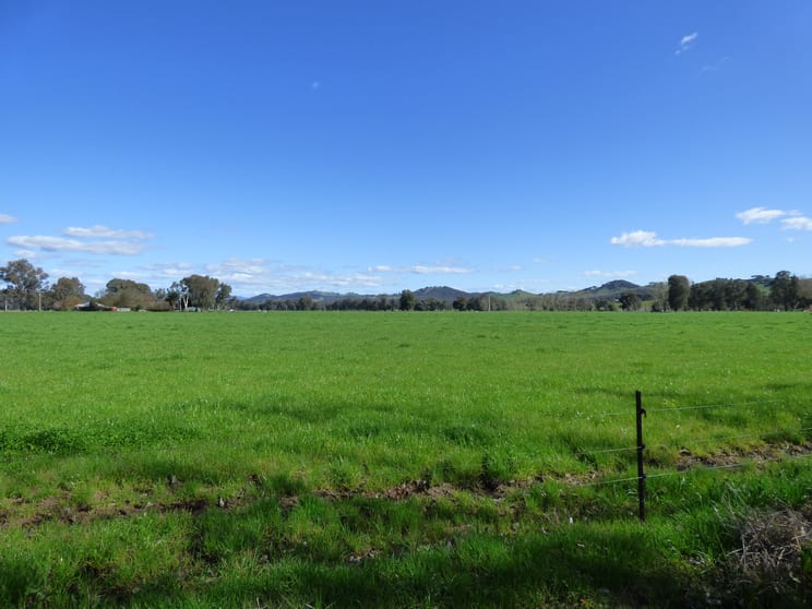 714 Whorouly Road Whorouly VIC 3735 - Image 3