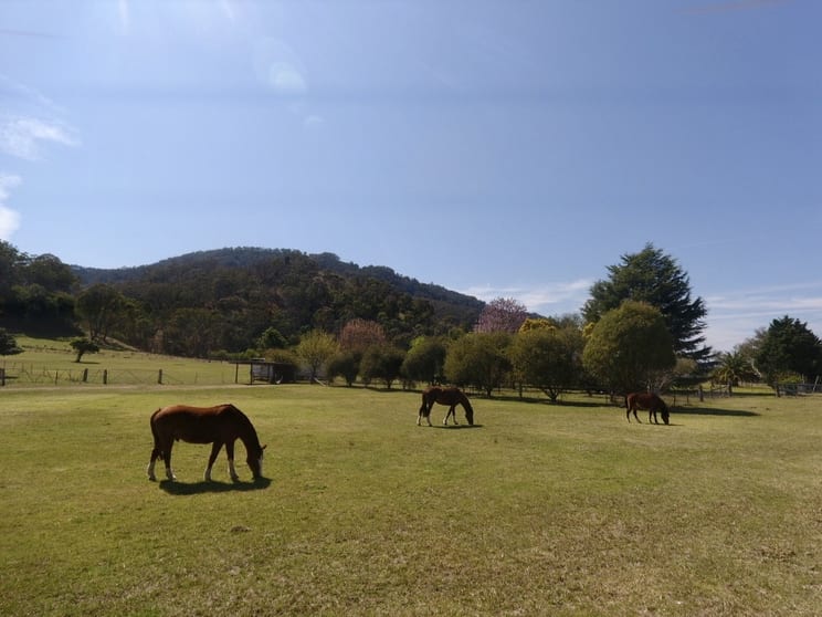 "Balloch" 68 Wilson Row Murrurundi NSW 2338 - Image 3