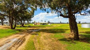 Click to view all images 295 Collendina Road Corowa NSW 2646 - Image 2