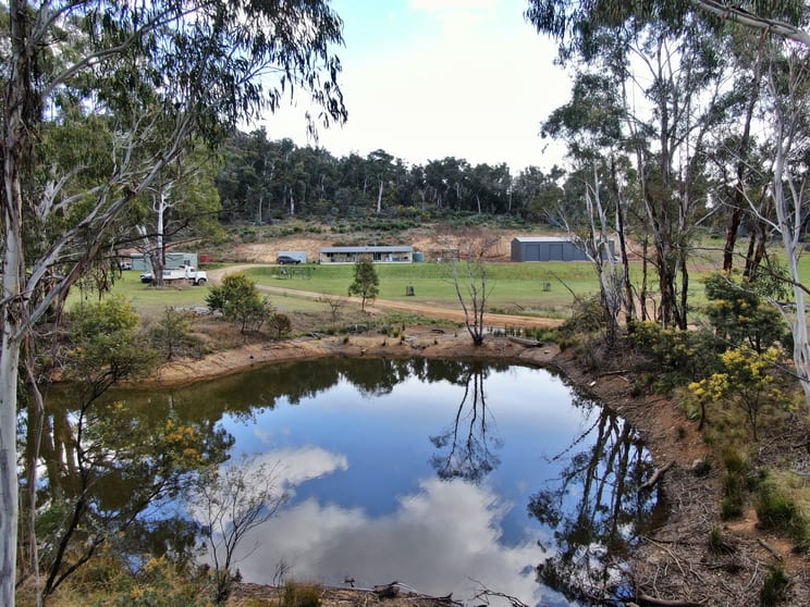 1809 Numeralla Road Cooma NSW 2630 - Image 3