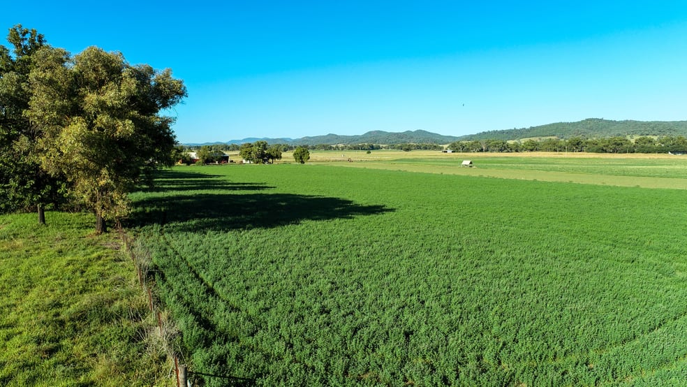 Click to view all images 9611 Mitchell Highway Wellington NSW 2820 - Image 2