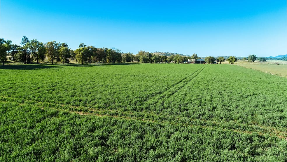 Click to view all images 9611 Mitchell Highway Wellington NSW 2820 - Image 3