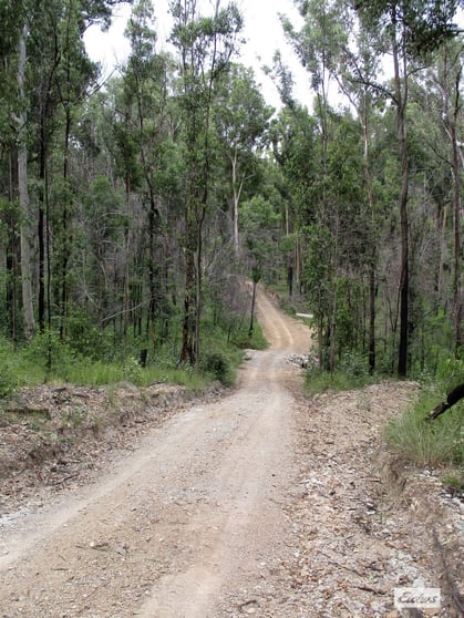 Click to view all images 215 Martin Road Nymboida NSW 2460 - Image 3