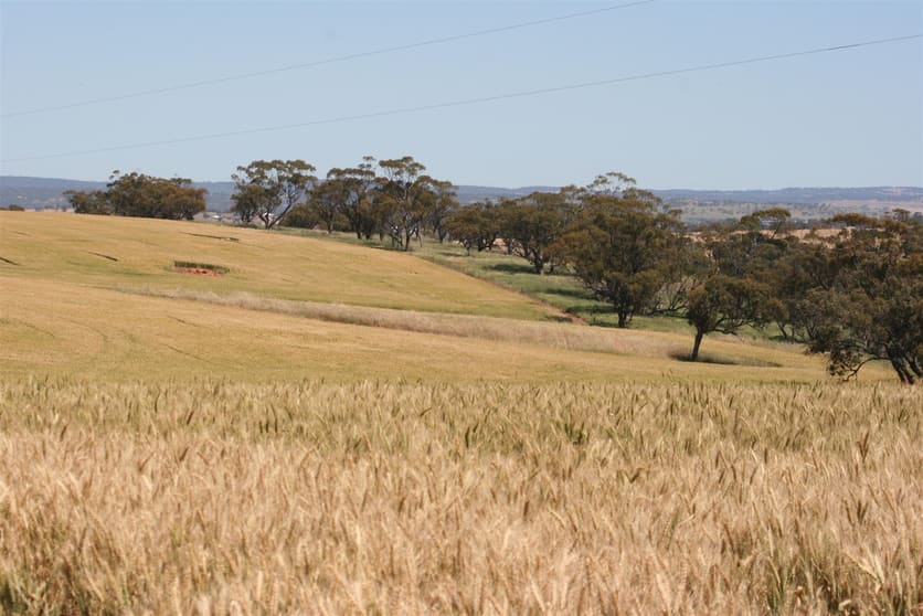 Click to view all images . Boramin & Mulukine Road Grass Valley WA 6403 - Image 3