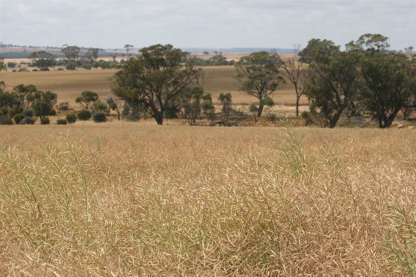 Click to view all images . Madews Jennacubbine WA 6401 - Image 1