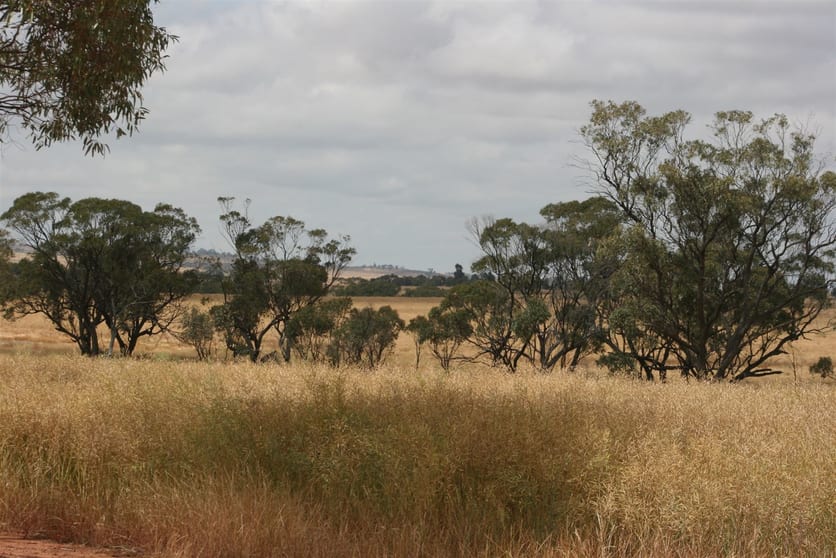 Click to view all images . Madews Jennacubbine WA 6401 - Image 2