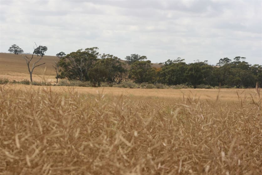 Click to view all images . Madews Jennacubbine WA 6401 - Image 3