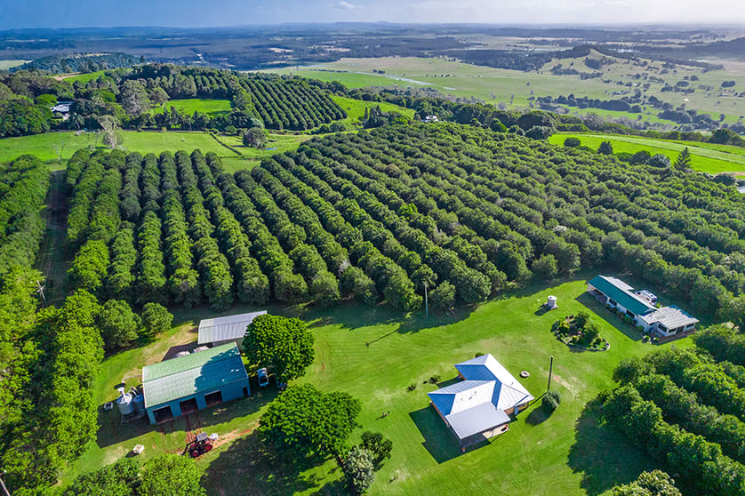 Click to view all images 204 Cooks Lane Dalwood NSW 2477 - Image 1