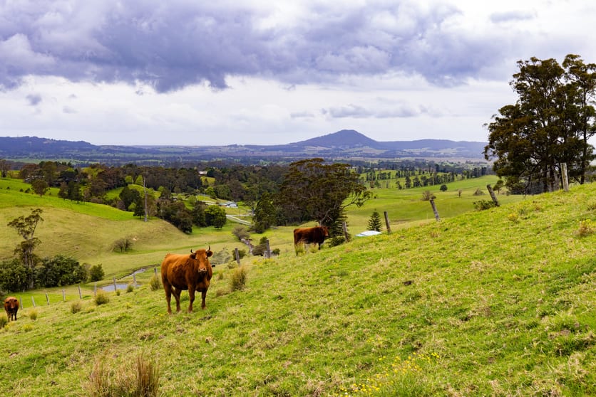 Click to view all images 245 Croziers Road Jaspers Brush NSW 2535 - Image 2