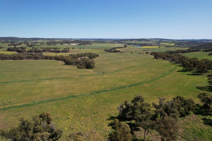 Click to view all images 2367 York-Williams Road Beverley WA 6304 - Image 2