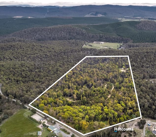 4 Lovetts Flat Road Sassafras TAS 7307 - Image 2
