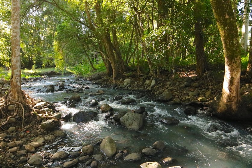 Click to view all images 5 Hensen Road Nimbin NSW 2480 - Image 3