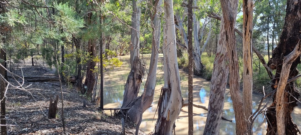 Click to view all images 238 Ayton Road Miles QLD 4415 - Image 2