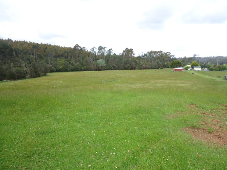 Click to view all images 952 Lower Beulah Road Lower Beulah TAS 7306 - Image 2