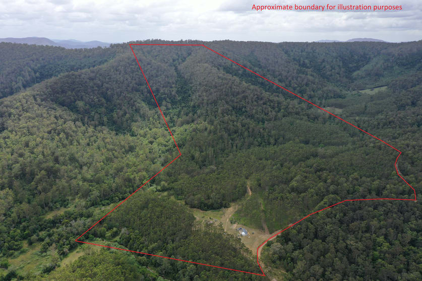 Lot 125 Blue Gum Lane Ellenborough NSW 2446 - Image 1