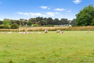 Click to view all images 118-120 Smiths Lane Pearcedale VIC 3912 - Image 3