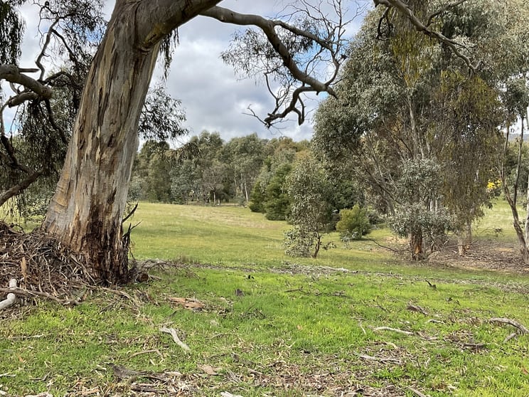 Click to view all images Redbank-Barkly Road Barkly VIC 3384 - Image 1