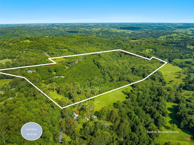 Click to view all images 206 Repentance Creek Road Rosebank NSW 2480 - Image 2