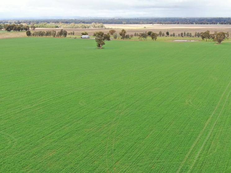 2648 Old Narrandera Road Currawarna NSW 2650 - Image 2