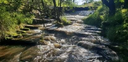 1521 Sextonville Road Kyogle NSW 2474 - Image 2