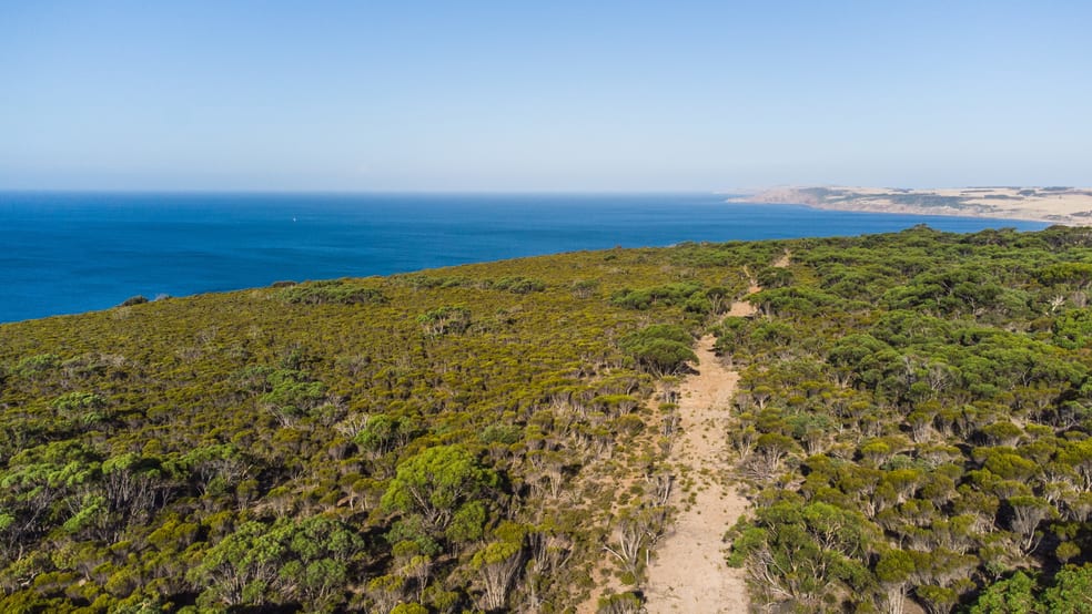 Click to view all images Lot 40 NORTH COAST Road Wisanger SA 5223 - Image 2