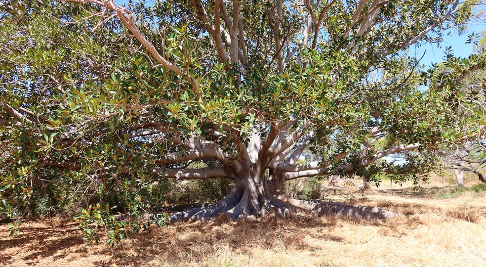 30536 Brand Highway Dongara WA 6525 - Image 2