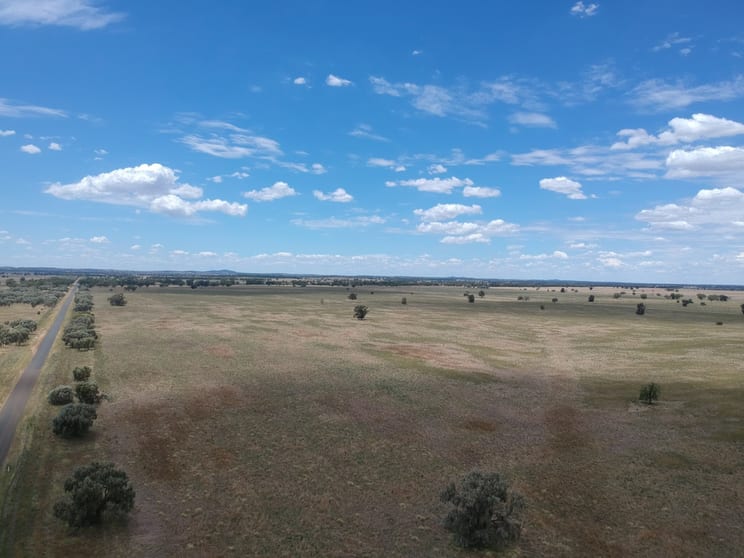 Click to view all images Glenview/616 Burcher Road Burcher NSW 2671 - Image 2