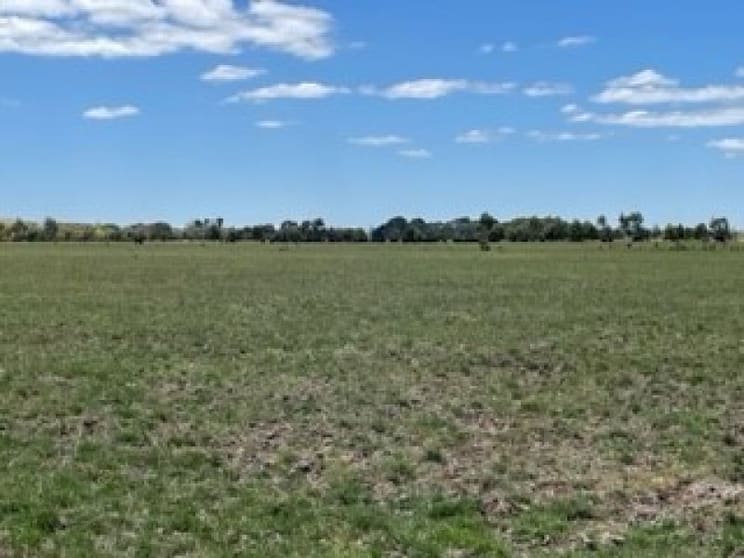 Click to view all images Terang VIC 3264 - Image 2