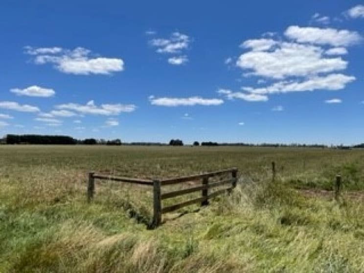 Click to view all images Terang VIC 3264 - Image 3