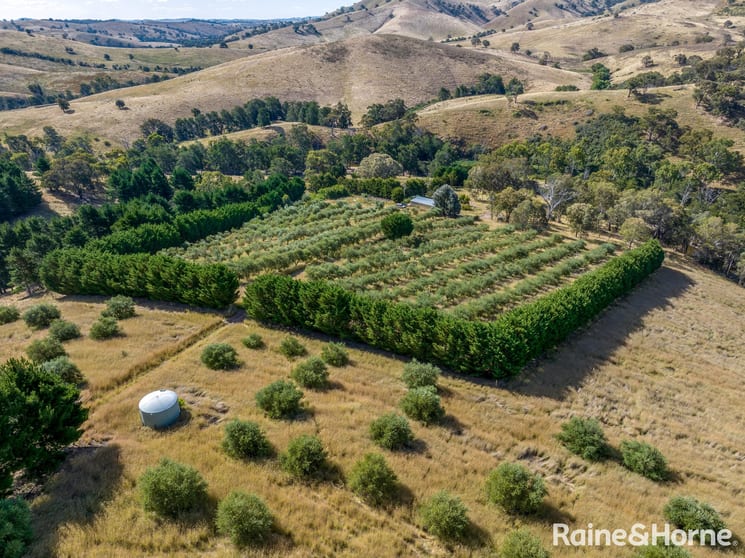 1302 Fish River Road Narrawa Via Crookwell NSW 2583 - Image 1